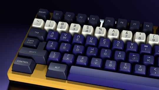 SA A History of Violets - Price Reduced on Remaining Stock!
