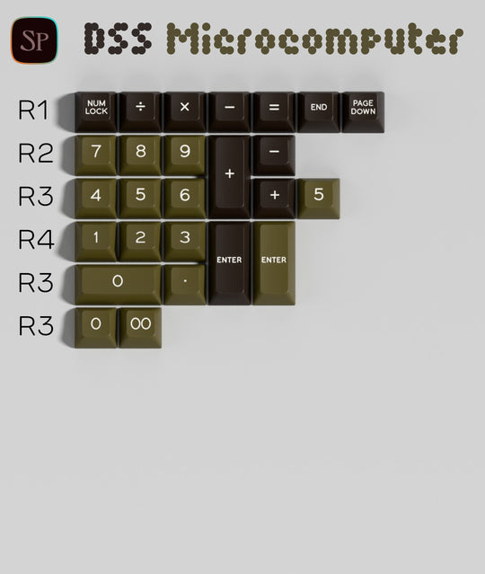 DSS Microcomputer