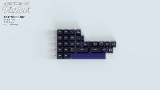 SA A History of Violets - Price Reduced on Remaining Stock!