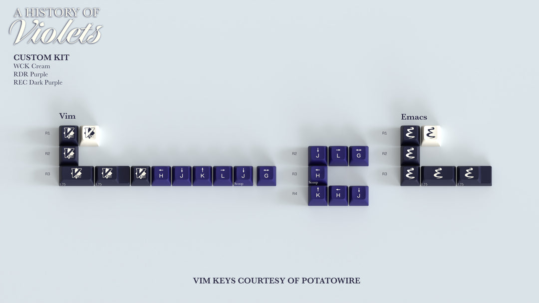 SA A History of Violets - Price Reduced on Remaining Stock!