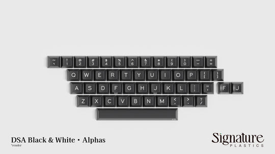 DSA Black & White - Price Reduced!