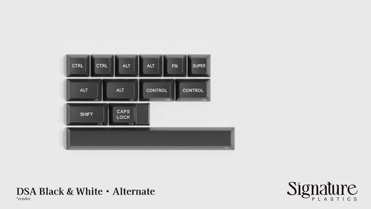 DSA Black & White - Price Reduced!