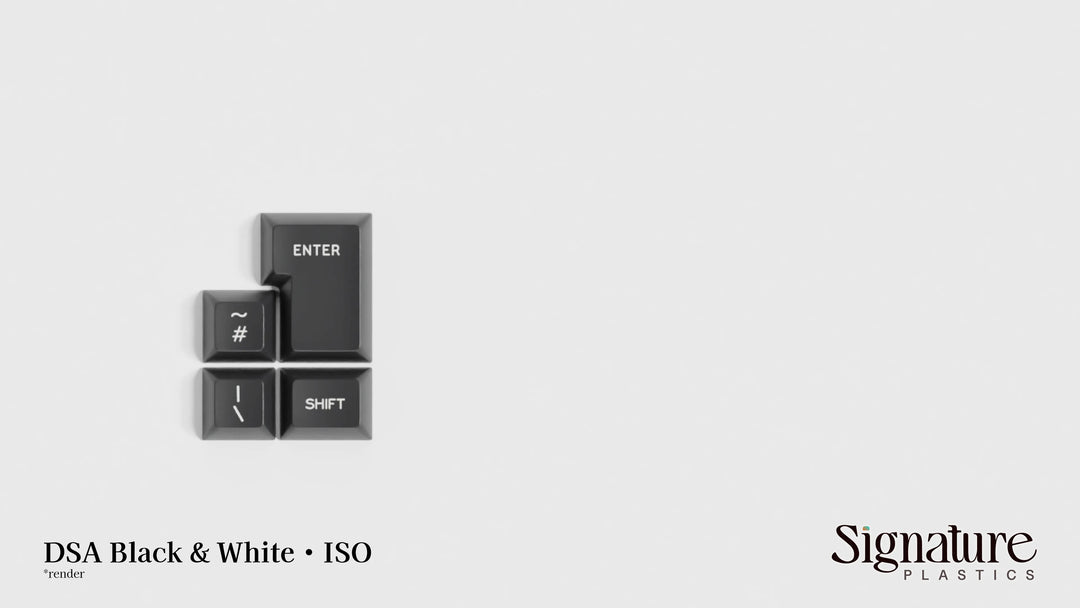DSA Black & White - Price Reduced!